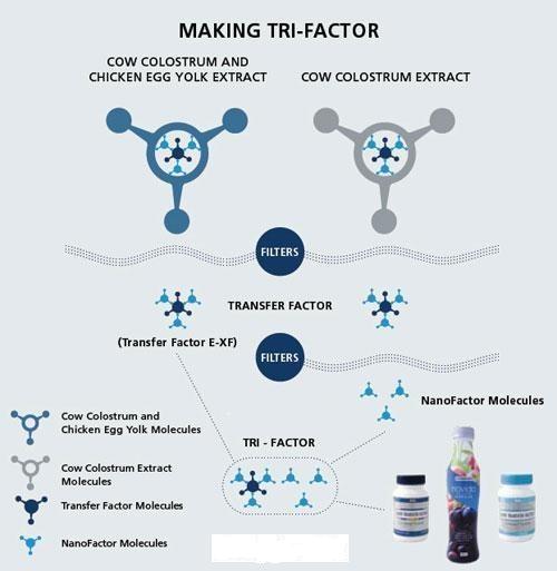 making-tri-factor-system-immune